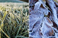 Old Farmer’s Almanac Predicts First Frost For Capital Region