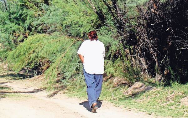 Conozca un bosque misterioso y perdido