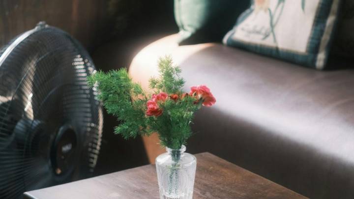 Decoración monocromática sin aburrimiento: 5 claves para que tus espacios luzcan sofisticados y con un guiño vintage de abuela