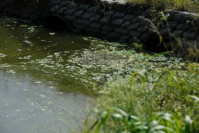 Is America’s dirtiest lake in Florida? That’s what this new study says