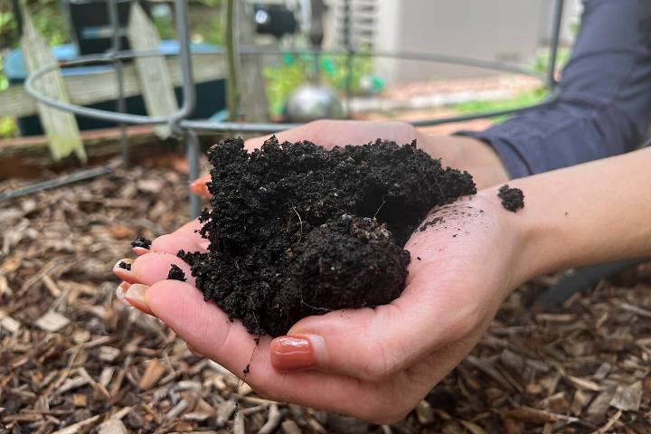 Gardening can cultivate better mental well