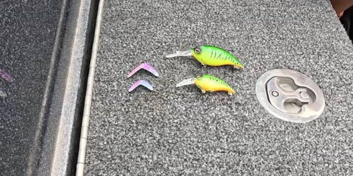 Pro’s Pointer 12: Downsizing your lures