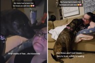 Foster Dog Finally Learns to Trust, Plants Surprise Kiss on Rescuer