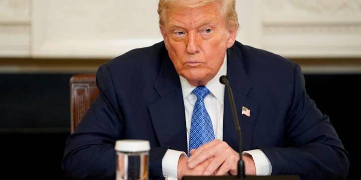 'Maybe, he ought to just focus on being a DJ': Trump rips Goldman Sachs CEO