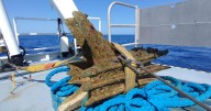 Recuperan un arma romana hundida hace más de 2.000 años en la batalla que selló la caída de Cartago