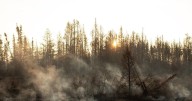 N.W.T. wildfire prompts evacuation order for Fort Providence