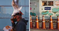 46 Candid Street Photos By Alex McClintock That Tell Stories Without Words