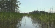 Alligator Alcatraz faces tribal backlash over wetlands, cultural impact