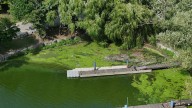 Pier 4 Park Beach closed after blue-green algae confirmed in the water, city says