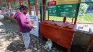 En CdMx se generan 700 toneladas diarias de heces caninas; preparan proyecto para volverlo composta