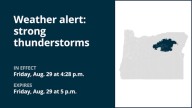 Marble-sized hail predicted with thunderstorms in Southern Blue Mountains of Oregon and John Day Basin Friday