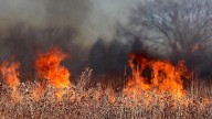 Incendios forestales en España arrasan con más de 4 mil hectáreas 🎦