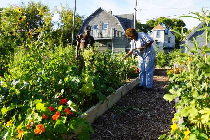 Milwaukee’s Urban Farming: How a Rust Belt City cultivated a grassroots idea into a national model