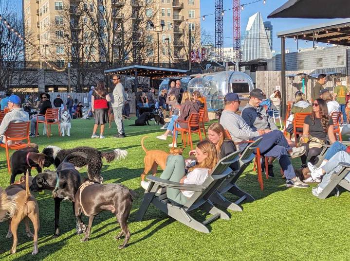 New dog park bar, Fetch Park, comes to Manayunk next month