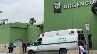Gato Muere Electrocutado y Provoca Apagón en Hospital General del IMSS en Saltillo