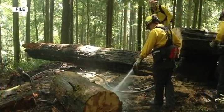 Lawyer: Oregon firefighter arrested by Border Patrol during wildfire was on track for legal status