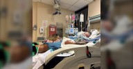 Saskatchewan man bitten by rattlesnake in Texas remains in critical condition