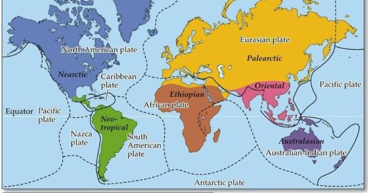 Exploring the science of biogeography
