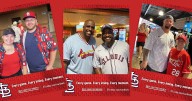 See who was at the August 16 Cardinals vs. Yankees game!