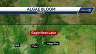 Public warning due to algae bloom in Eagle Nest Lake