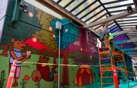 Photos: Iowa City beautification project adds colors to Ped Mall passageway