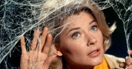 ‘Cobwebbing’ Is a Rare Healthy Dating Trend