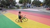Florida cities race to save rainbow crosswalks as the state's deadlines for removal loom