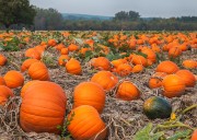 NOAA Forecast Predicts Warmer