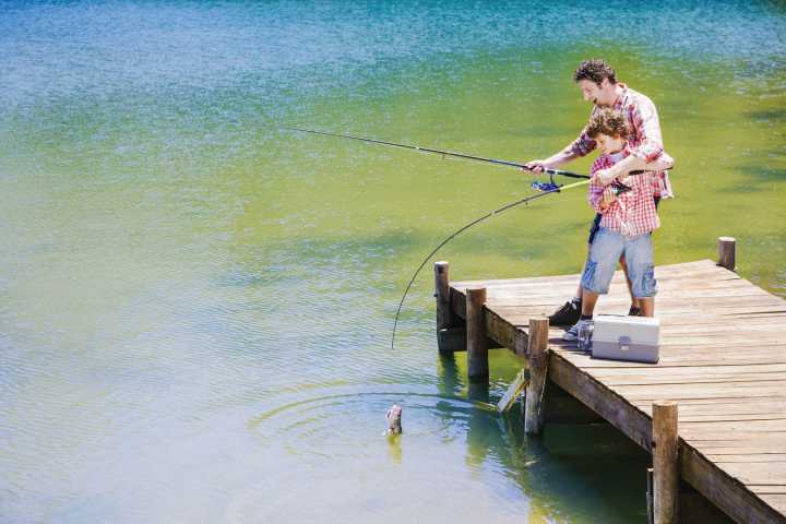 Fishing Forecast