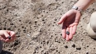 Fossils show two types of ancient human ancestors lived at the same place and time. One was possibly an unknown species