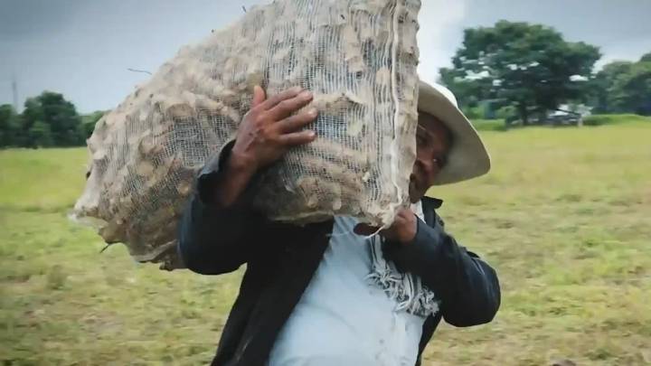 Más de 100 familias regresan al campo en Casanare, después de 13 años de desplazamiento