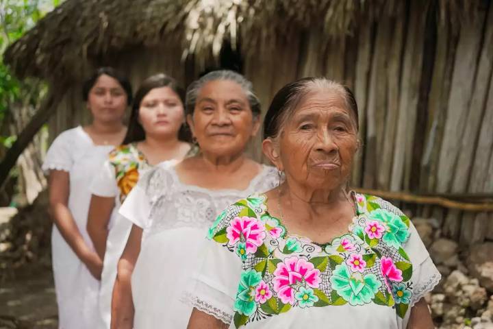 Gobierno federal reconoce por primera vez a pueblos indígenas como sujetos de derecho con recursos directos para obras
