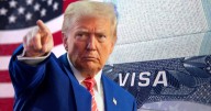 Visas muy baratas por única vez: el Gobierno de EE.UU. permitirá acceder al país por menos de 300 pesos a todos estos extranjeros