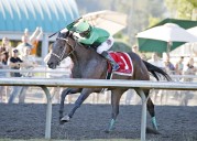 Slew’s Tiz Whiz to attempt rare feat at Longacres Mile