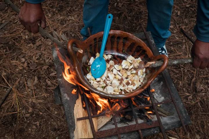 Se realizará Segundo Festival de Hongos Comestibles y Muestra Gastronómica Indígena 2025 en Teolocholco