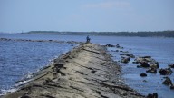 See why Zeke's Island Reserve is one of NC's 'most…