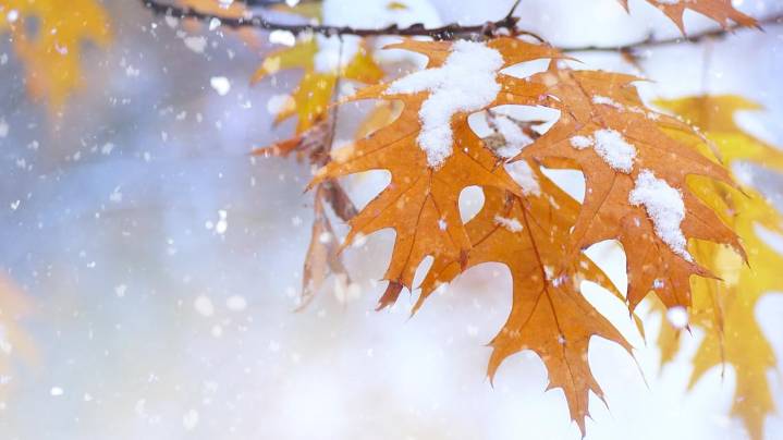 Farmer's Almanac predicts wet fall and winter for Pacific Northwest