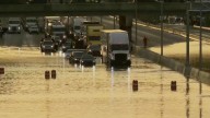 Parents and child killed when tree falls on car as heavy rain and flooding hit Tennessee