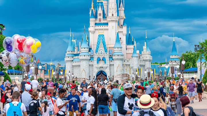 Walt DisneyWorld's cryptic answer over how they keep mosquitoes at bay – and why you don't see the bugs in the resort