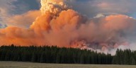 Parts of SR 67, Kaibab National Forest reopen weeks after Dragon Bravo Fire