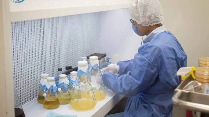 Bayer hará inversión millonaria en Tlaxcala para impulsar innovación en agricultura