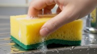 No cambies la esponja de cocina cada mes, es un error: cada cuánto debés hacerlo y por qué