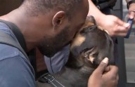 Hombre que se reencuentra con su perro que había sido robado
