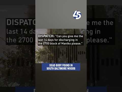 Body found in South Baltimore woods sparks mystery and concern