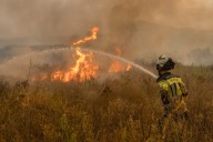 España registra casi 100.000 hectáreas quemadas en 199 incendios en lo que va de año