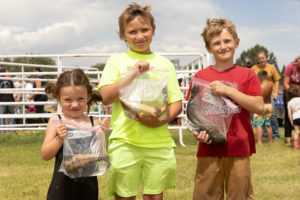 It’s as easy as grabbing fish with your bare hands, an old tradition splashes its way back to Fremont County Fair