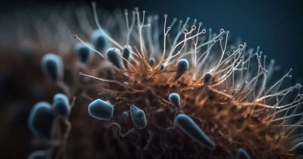 Urgente: confirman la presencia de una "bacteria carnívora" en el agua y alertan por su rápida propagación