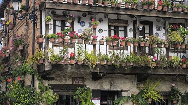 Una Ruta de Tapas por Gredos: la historia de un paisaje único contada desde el aperitivo