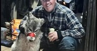 Cody Roberts, man accused of tormenting wolf, indicted for felony animal cruelty