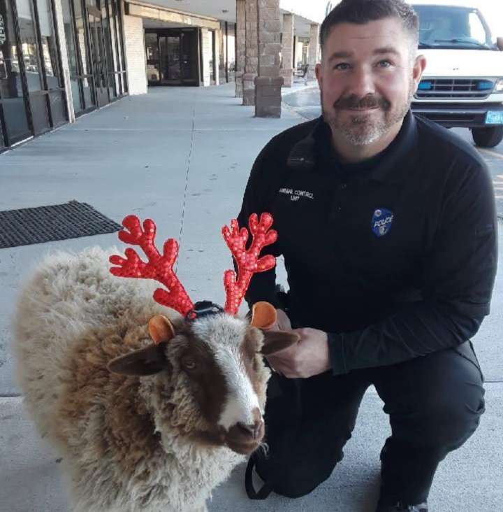 Worcester animal control officer dies while playing basketball